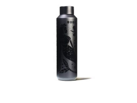 Starbucks Stainless Steel Water Bottle Black Matte 20 Oz Frys