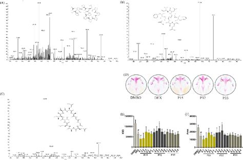 Mass Spectra Of Peptides Identified By Hplc Esi Ms Ms A P15 Download Scientific Diagram