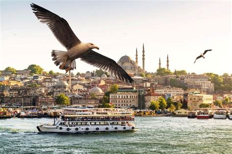 Tripadvisor Private ganztägige Istanbul Bosphorus Kreuzfahrt und