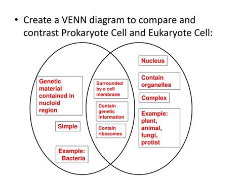 Venn Diagram Comparing Prokaryotic And Eukaryotic Cells