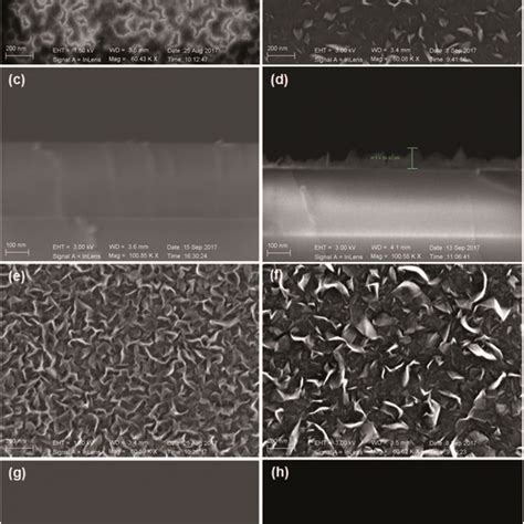 Top View Sem Images Of Vg Deposited On Untreated Substrates For A