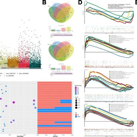 Differentially Expressed Gene Analysis And Functional Enrichment