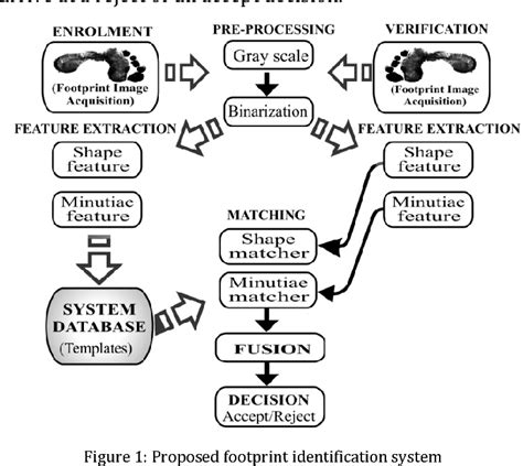 Figure 1 From Study Of Biometric Identification Method Based On Naked