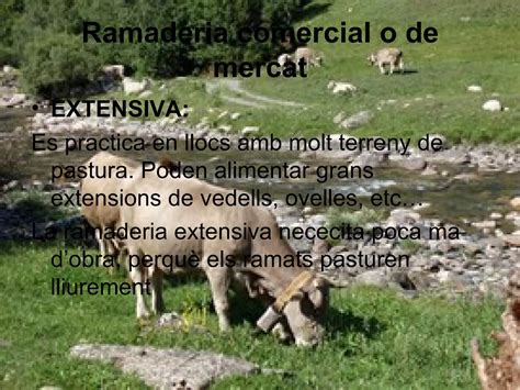 Lagricultura Ramaderia I La Pesca Pp Ppt