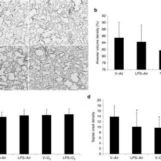 Effects Of Intra Amniotic Lps Or Vehicle Plus Postnatal Air Or