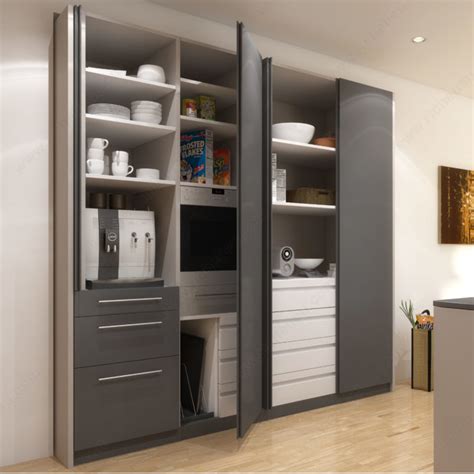 HAWA Concepta 25 Pivot And Slide In Pocket Door System Richelieu