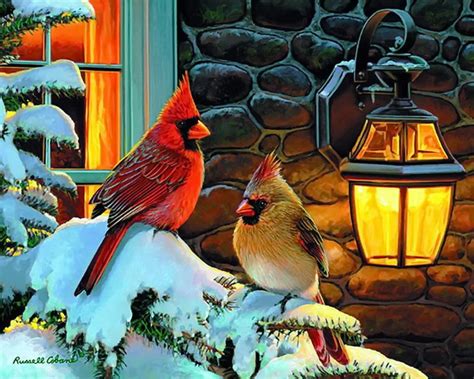 🔥 [74+] Cardinals in Winter Desktop Wallpapers | WallpaperSafari