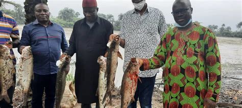 Ogoni People Celebrate 2022 Day Of Action For Rivers Flickr