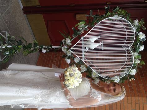 Gallery | Love Doves New York