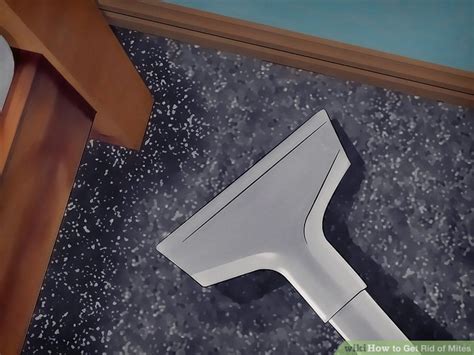 How to Get Rid of Mites: 15 Steps (with Pictures) - wikiHow