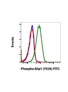 Phospho Shp Tyr A Rabbit Mab Fitc Conjugate Abwiz Bio