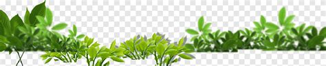 Animasi Daun Pandan Png Daun Pandan Gambar Png File Vektor Dan Psd Unduh Gratis Di Pngtree