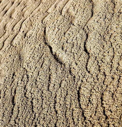 The Brown Sand Dune In The Sahara Morocco Desert Photo Background And