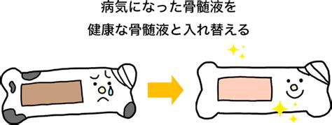 骨髄バンク（血液疾患と骨髄バンク） 特定非営利活動法人 全国骨髄バンク推進連絡協議会