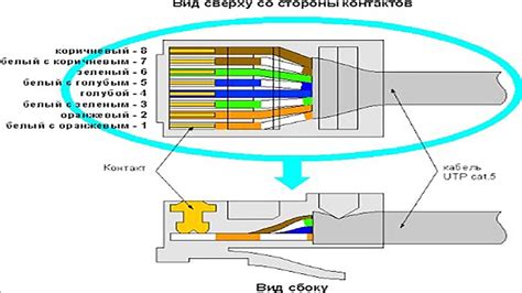 Подключение интернет розетки и обжим коннектора RJ 45