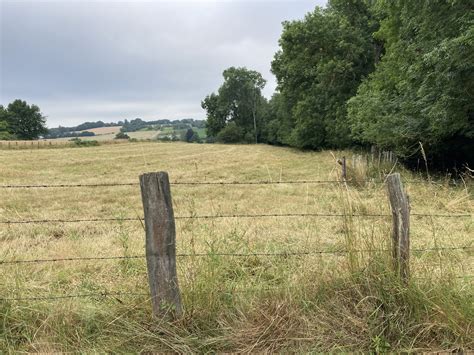 Verger Des Courtils Territoires De Faune Sauvage