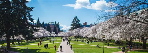 About the UW & Seattle | UW Summer Sessions