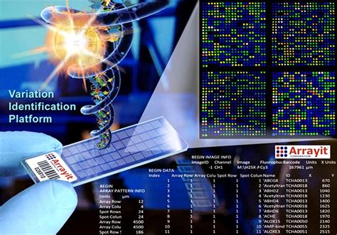 Arrayit Genotyping Oligonucleotide Microarray Manufacturing