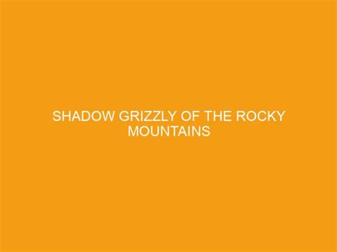 Shadow Grizzly Of The Rocky Mountains Gods Eagle Ministries