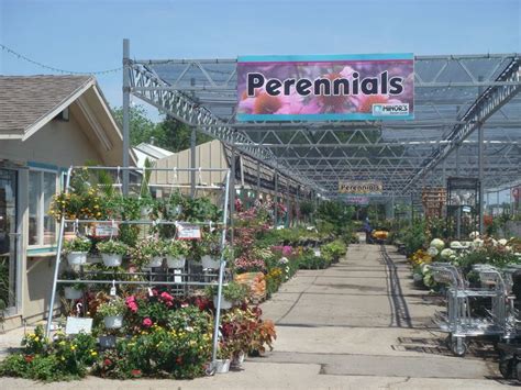 Perennials Sign On Display At Minors Garden Center In Milwaukee Wi