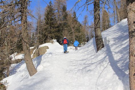 Malga Rolle Laghetti Di Colbric N Primiero Hiking