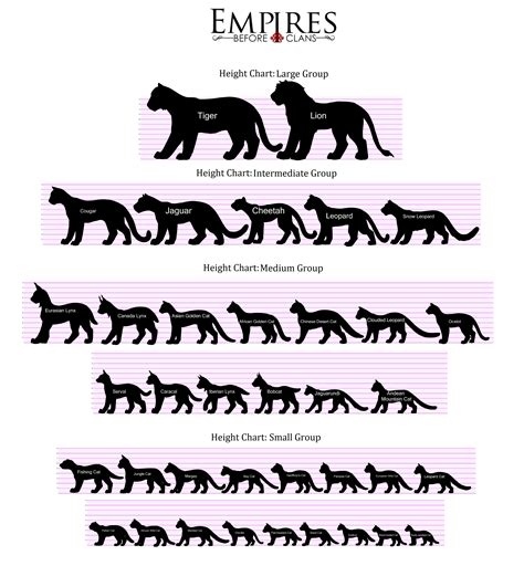 Cat Height Chart (Metric) by EBC-Admins on DeviantArt