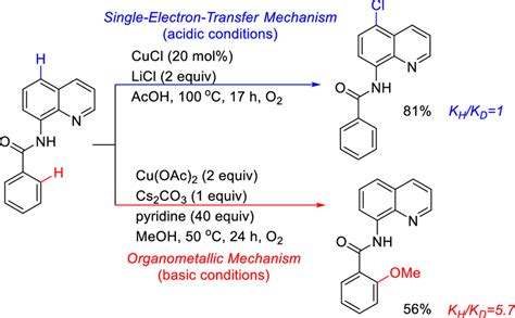 C H Chlorination Of Aminoquinolines N Quinolinyl Benzamide