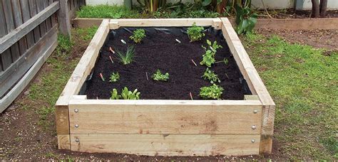 Diy Vegetable Garden box | Home Hardware