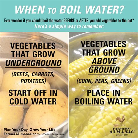 Boiling Vegetables - When to Boil the Water - Farmers’ Almanac