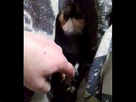 20180125 144205 XVIDEOS