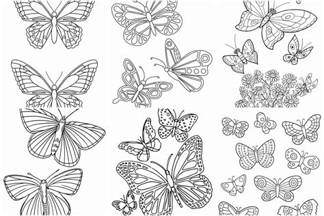 Varias Borboletas Para Colorir - 8