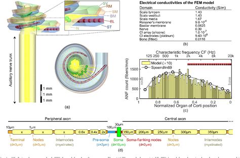 Figure From A Computational Model Of The Electrically Or Acoustically