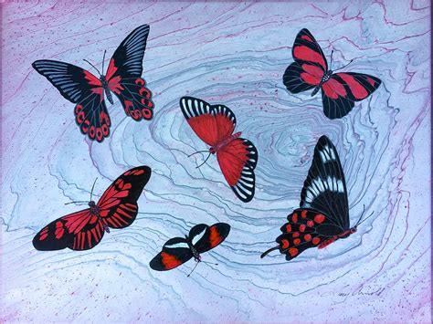 Bugs And Butterflies Fine Art Of Lucy Arnold