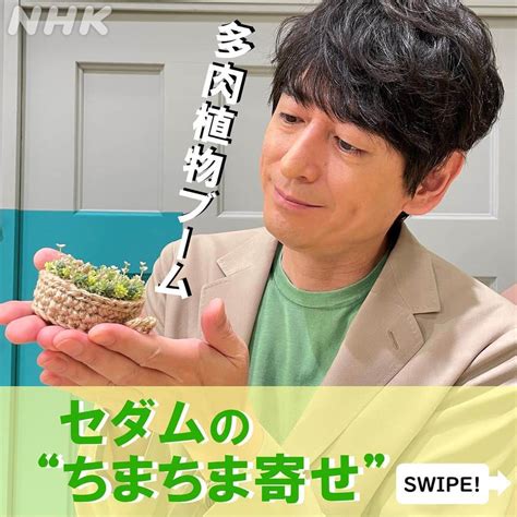 あさイチさんのインスタグラム写真 あさイチinstagram「大吉さんが愛でているのは 小さな多肉植物の寄せ植え＝”ちまちま寄せ