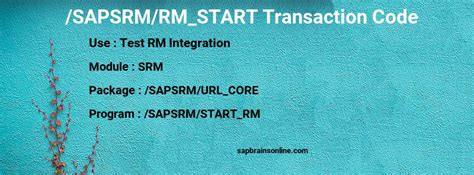 Sapsrmrmstart Sap Tcode For Test Rm Integration