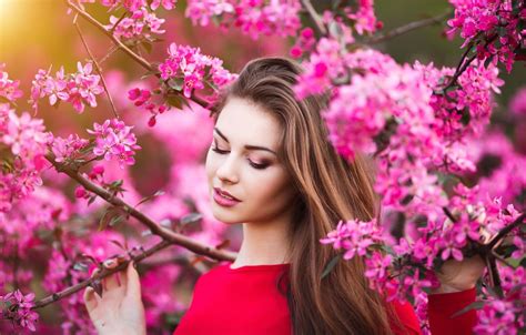 Beautiful Wallpaper Portrait Flower Images Parketis