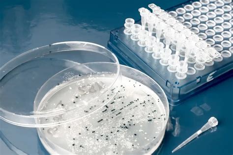 Vertex Pharmaceuticals Stock Drops Despite Upgrades - VRTX Stock