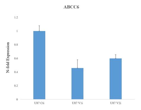 Expression Of Abcc In Hnrnpa V Knockdown And Hnrnpa V Knockdown