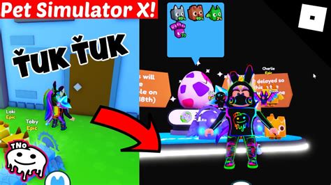 ŤUK ŤUK TAJNÉ VAJÍČKO Kód POG EGG Pet Simulator X Roblox tNo