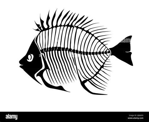 Vector Illustration With Fish Skeleton Isolated On A White Background