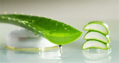 4 Ways To Use Aloe Vera Gel For Hair Growth And Thickness