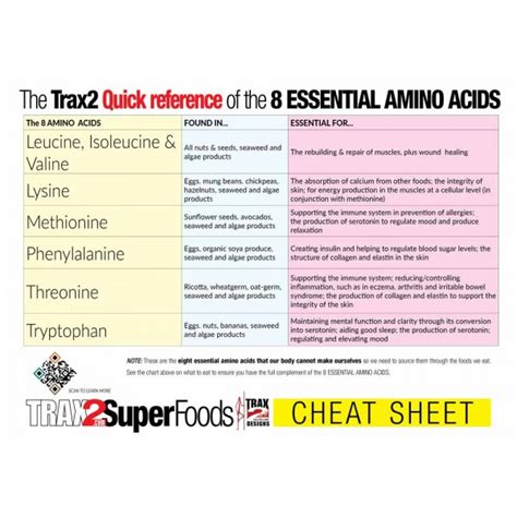 Amino Acids Chart