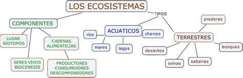 Arriba 32 Imagen Tipos De Ecosistemas Mapa Mental Abzlocalmx