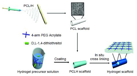 Hydrogel coated heparin modified poly ε caprolactone electrospun