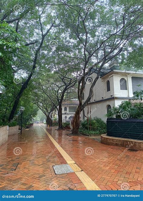 Atmosphere in Kowloon Park Hong Kong on a Rainy Day Stock Image - Image