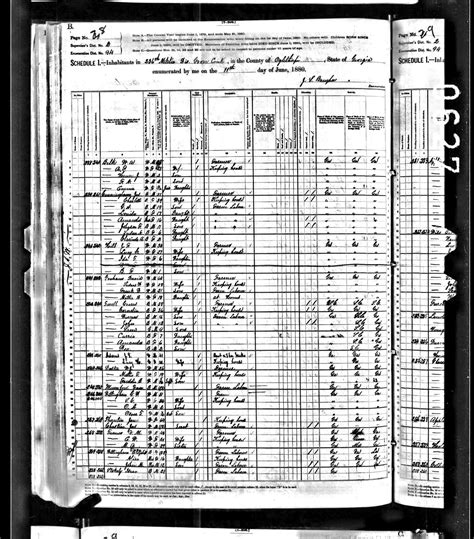 Birth Records of African American Cunningham Family, Oglethorpe, GA