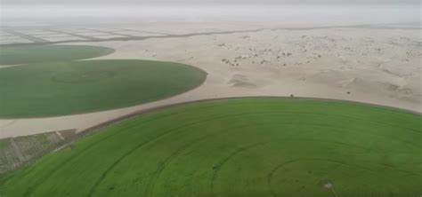 新疆在沙漠里种植小麦 苜蓿 高粱中国科学家发现沙漠变土壤的密码 腾讯新闻