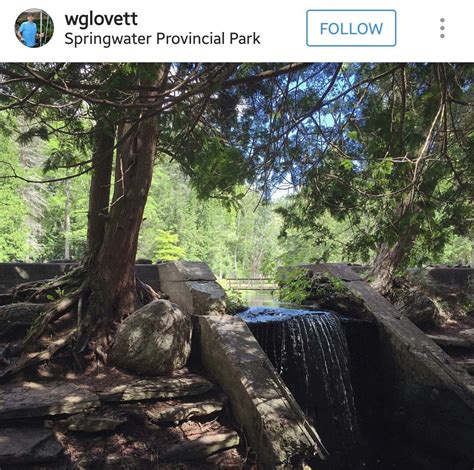 Springwater Provincial Park | Ontario parks, Springwater, Park