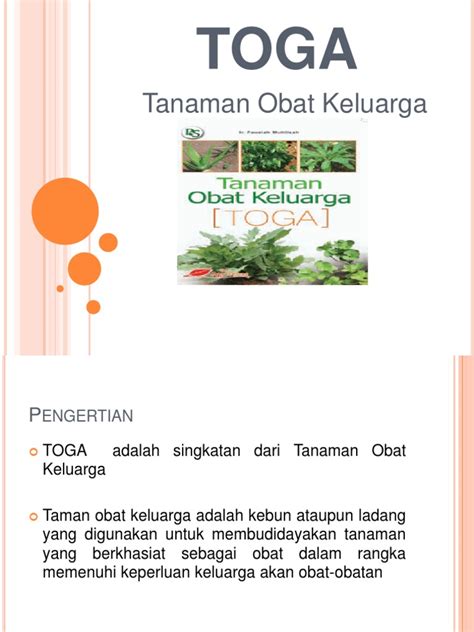 Tanaman Obat Keluarga Toga Pdf