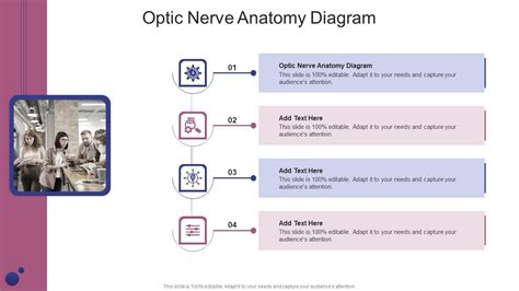 Optic Nerve Anatomy Diagram In Powerpoint And Google Slides Cpb